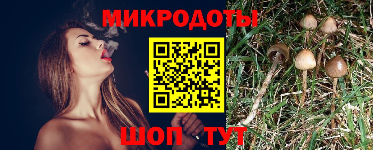 Псилоцибиновые грибы MAGIC MUSHROOMS Ноябрьск