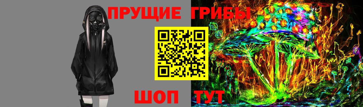 закладки  Псилоцибиновые грибы Cubensis  Псилоцибиновые грибы MAGIC MUSHROOMS  Вход с VPN  Ноябрьск 